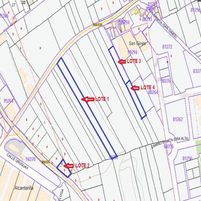 25VIV10219_1-Mapa cartografico, lotes 1, 2, 3, y 4.jpg